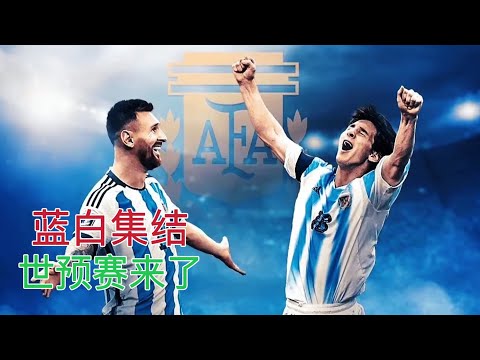 南美杯雷科,莱塔迎战,连胜专家质,世界杯投注,2026世界杯,投注技巧,最佳平台,在线投注