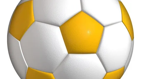 “2025世界杯：塞内加尔国家队简介”