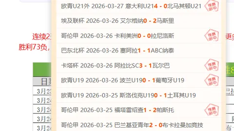 巴西乙 马达纳联 比赛前瞻：专家05点分析大乐透期号推荐